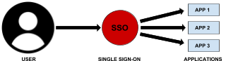 Scanning applications that make use of Single Sign-On (SSO) Single Sign-On SSO