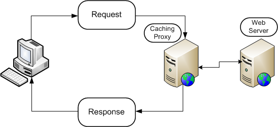 What is Web Cache Poisoning? web cache poisoning